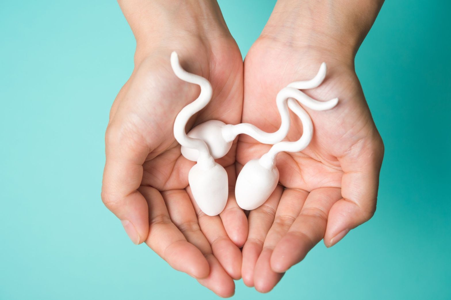 Sperm : More Important Than You Think!